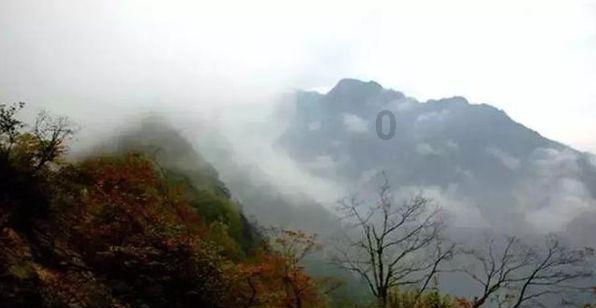 冰冻水饺怎么煮是冷水下锅还是热水