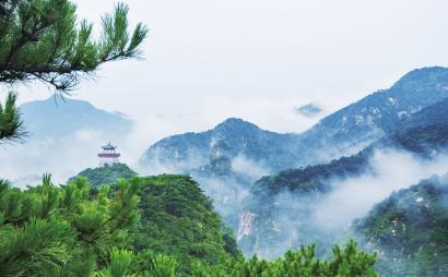专业问答网站-皖南医学院成人本科分数线,为你提供精准解答